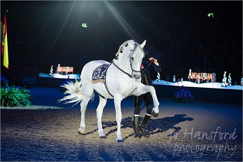 Jo Hansford Photography - Olympia Horse Show 2013