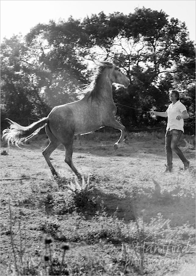 Equine photographer