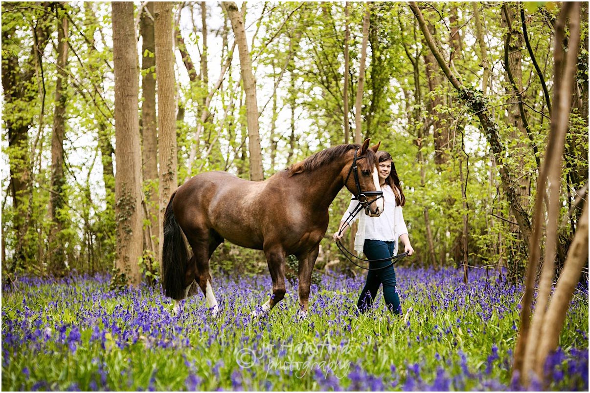 cotswolds equine photography Jo Hansford