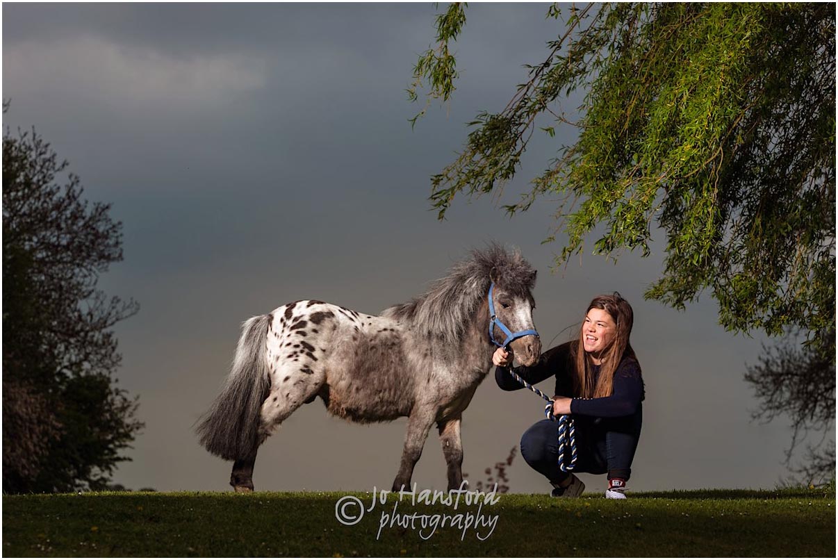 cotswolds equine photography Jo Hansford