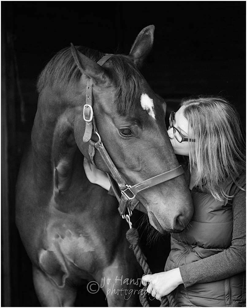 Horse photography London Jo Hansford