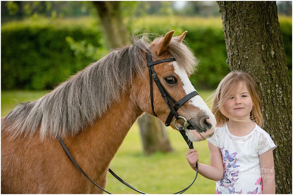 Gloucestershire horse photography Jo Hansford