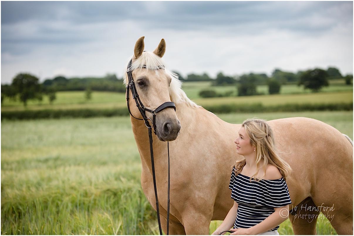 Cotswold horse photography Jo Hansford