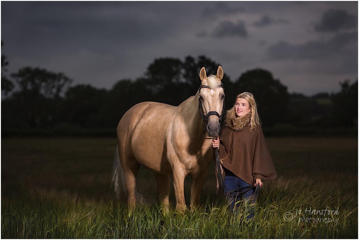 Cotswold horse photography Jo Hansford