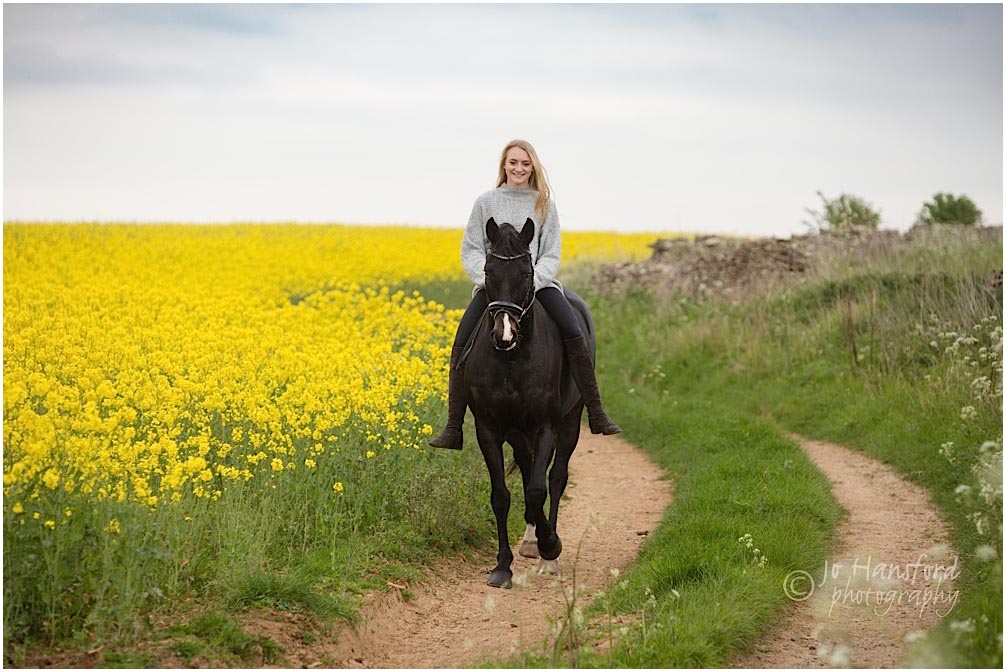 Horse photographer Wiltshire Jo Hansford