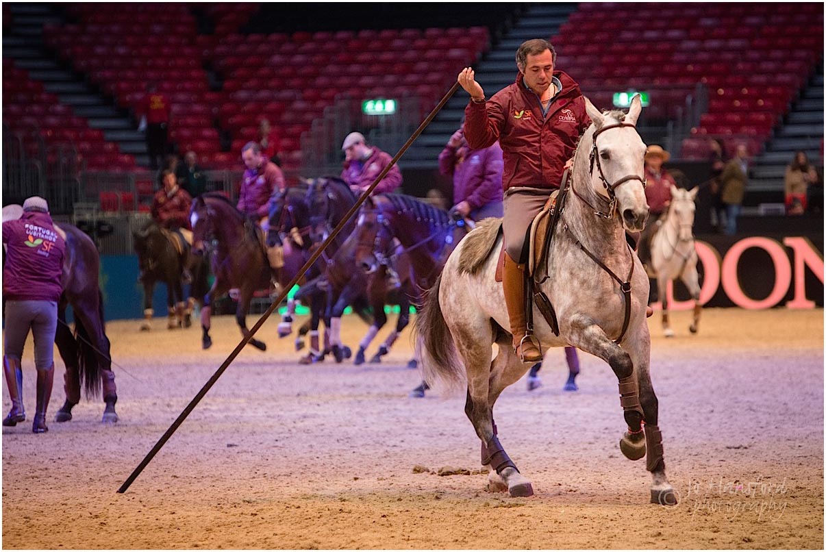 Olympia Horse Show 2016 Jo Hansford
