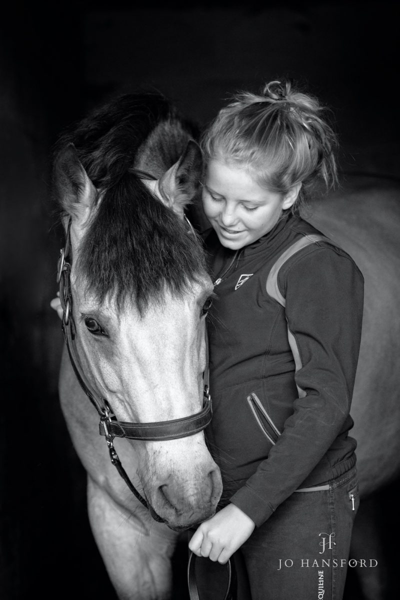 Horse photographer Oxfordshire Jo Hansford