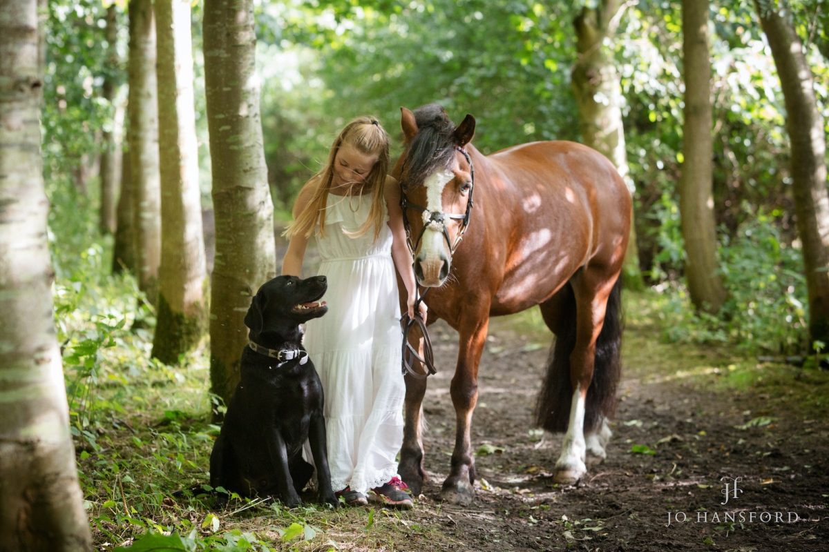 Horse photographer Oxfordshire Jo Hansford