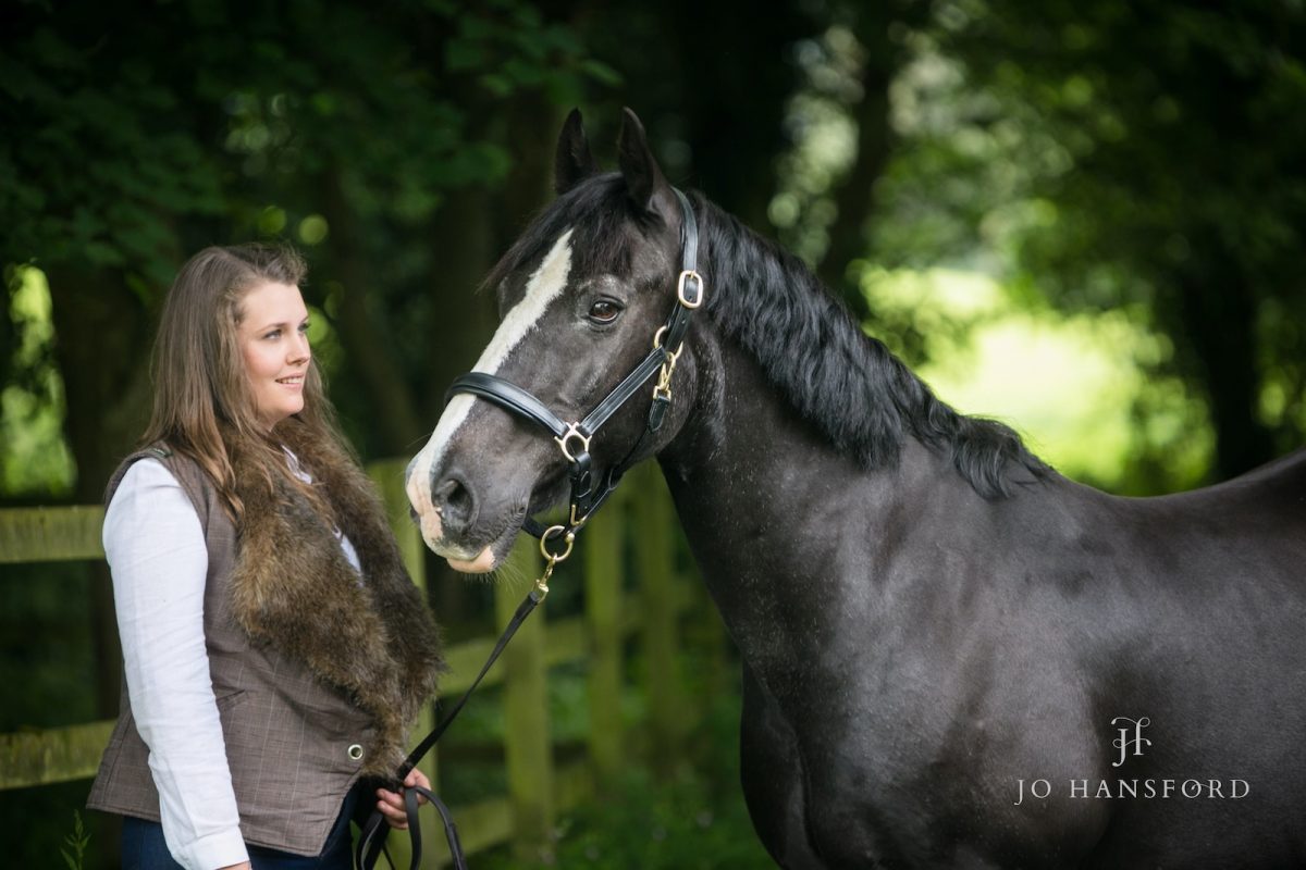 Horse photographer Gloucestershire Jo Hansford