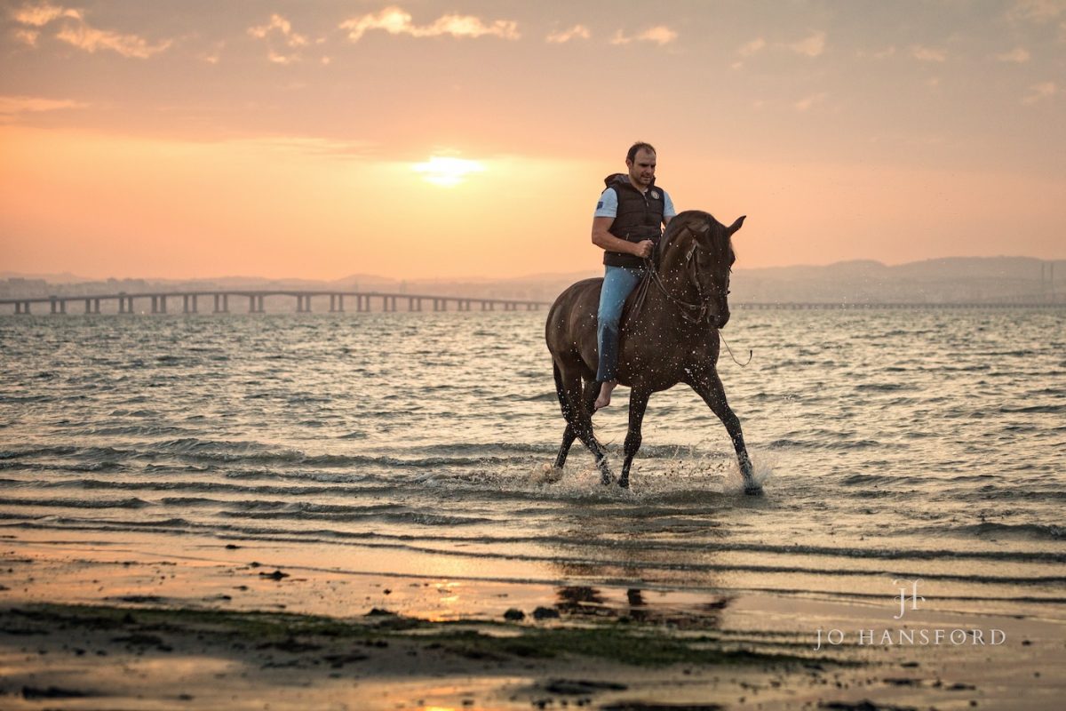 Horse photographer Portugal Jo Hansford