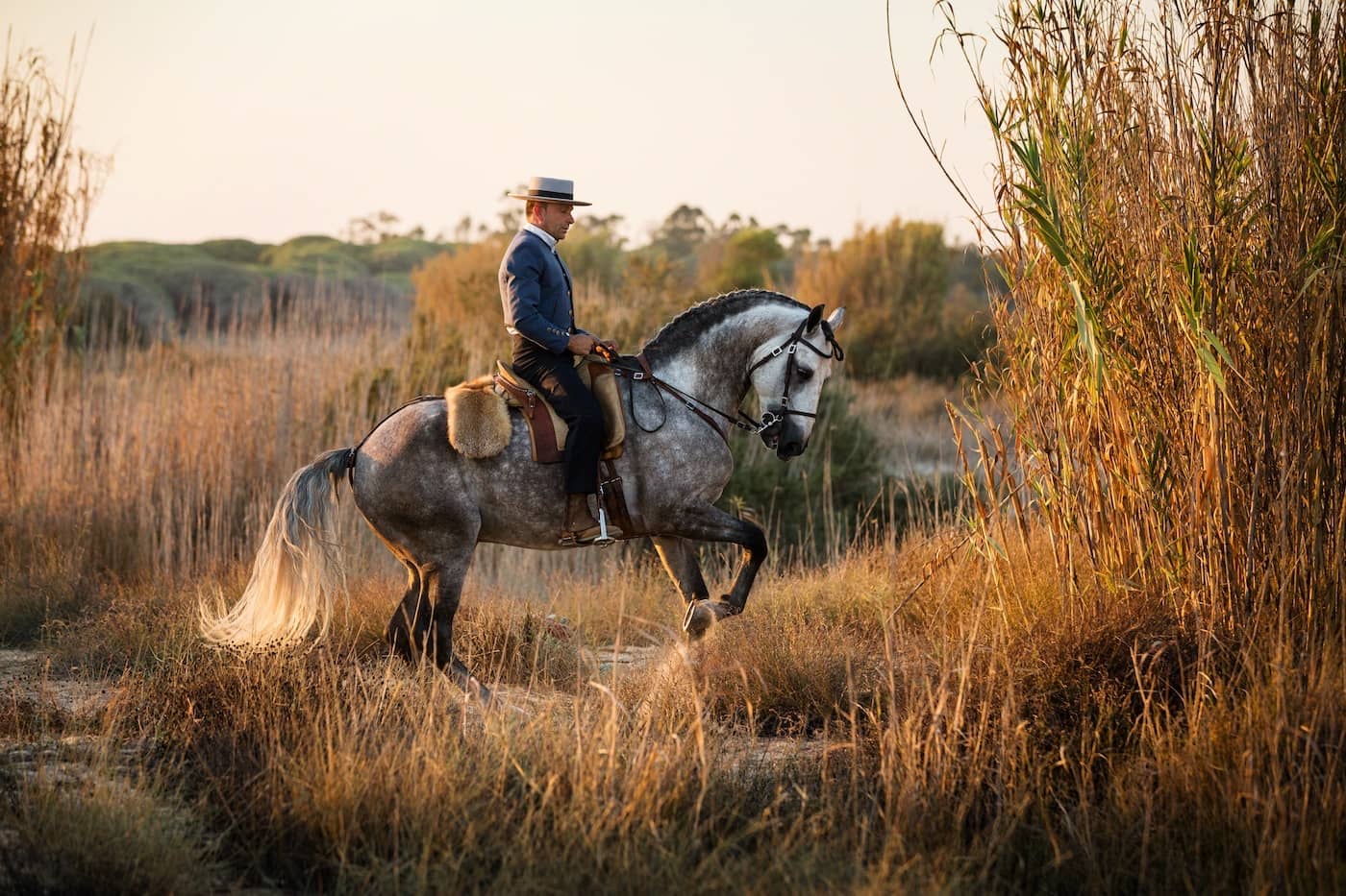 Horse photographer Algarve Jo Hansford