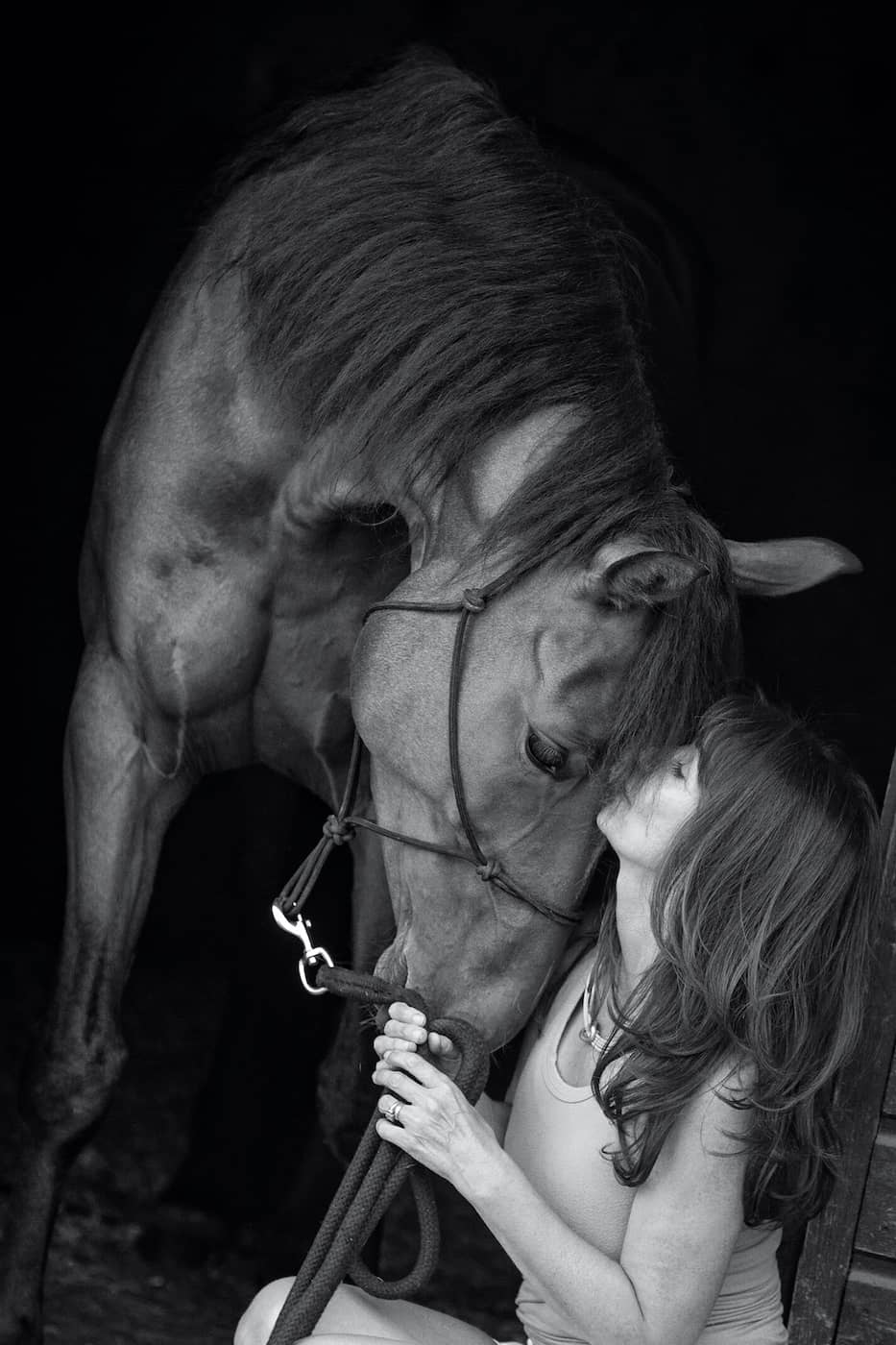 Horse photographer Hertfordshire Jo Hansford