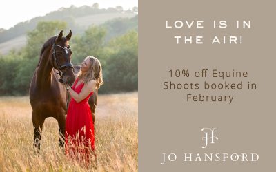 An Equine Photoshoot – the perfect Valentine’s Gift!