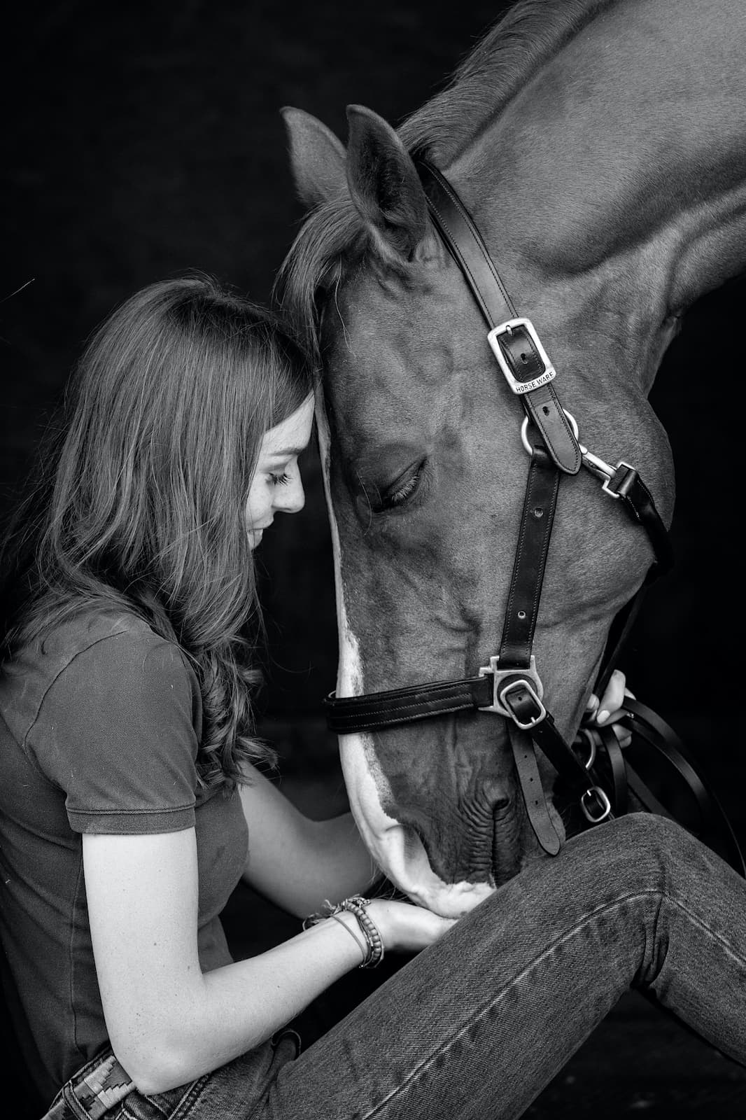 Horse photographer Somerset Jo Hansford
