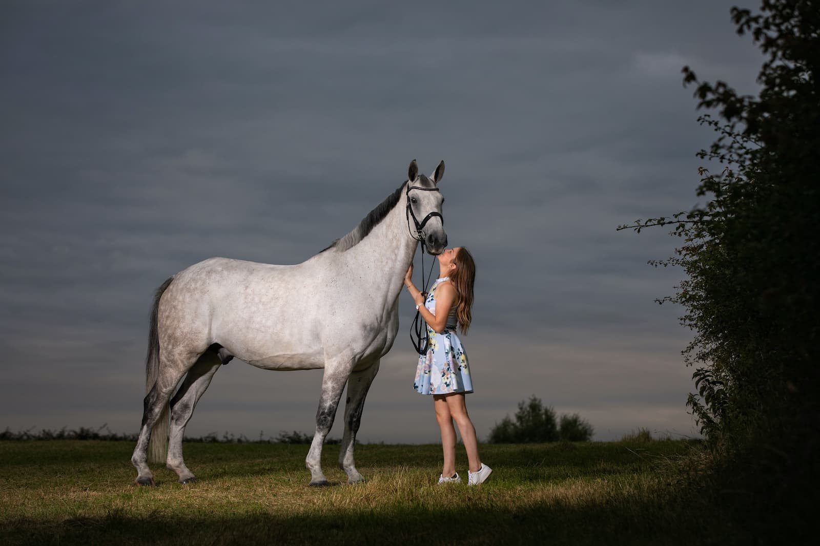 Horse photography Wiltshire Jo Hansford