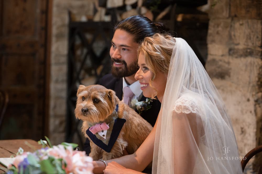 Everything you need to know about having your horse or pet at your wedding Jo Hansford