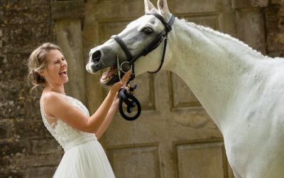 Everything You Need to Know about Having Your Horse or Pet at Your Wedding!