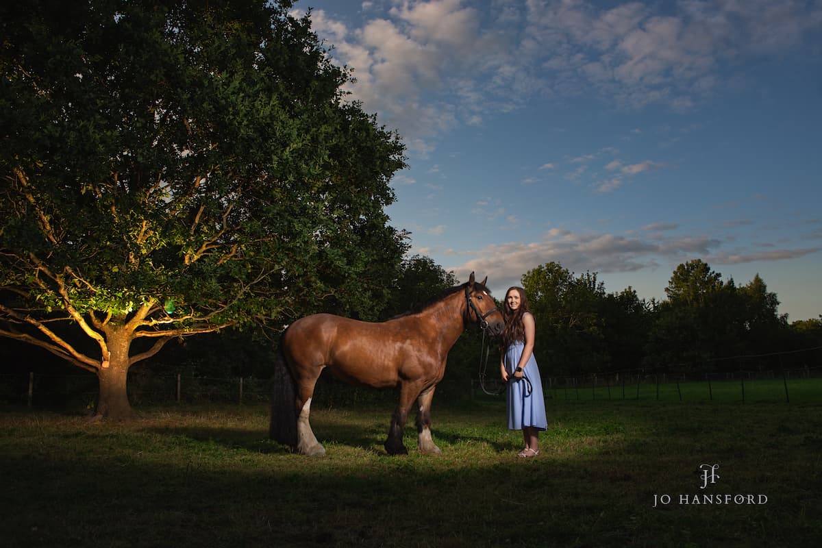 Horse photography Cheltenham Jo Hansford