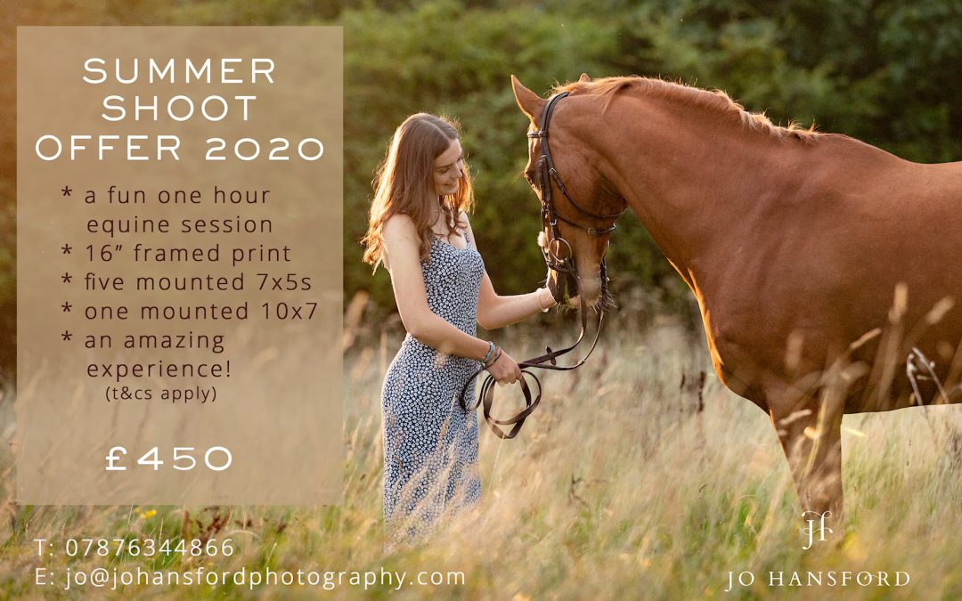 Summer 2020 Equine Photoshoot offer!