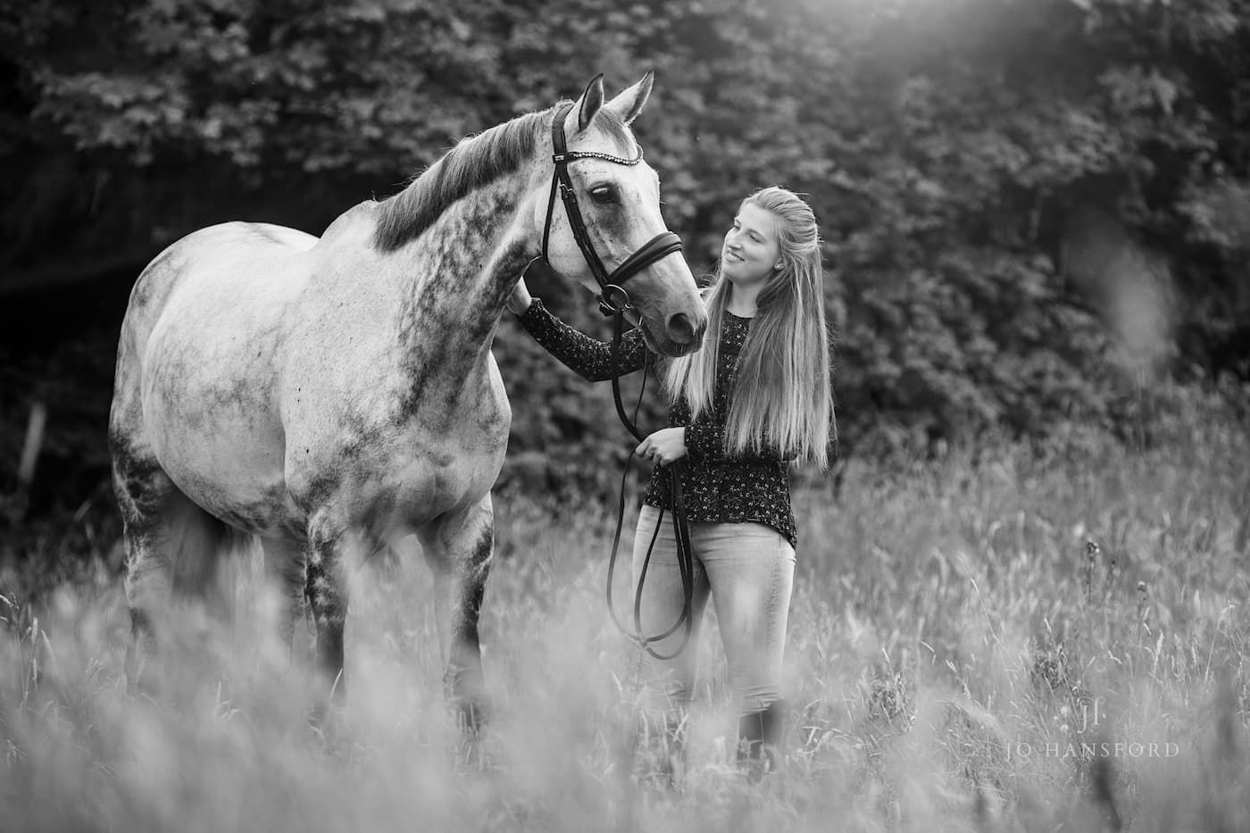 Horse photographer Cotswolds Jo Hansford