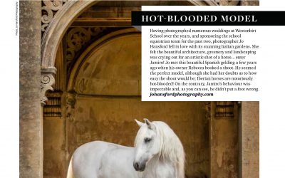 In the press – Spanish horse ‘ Jamiro’ featured in Cotswold Life Magazine
