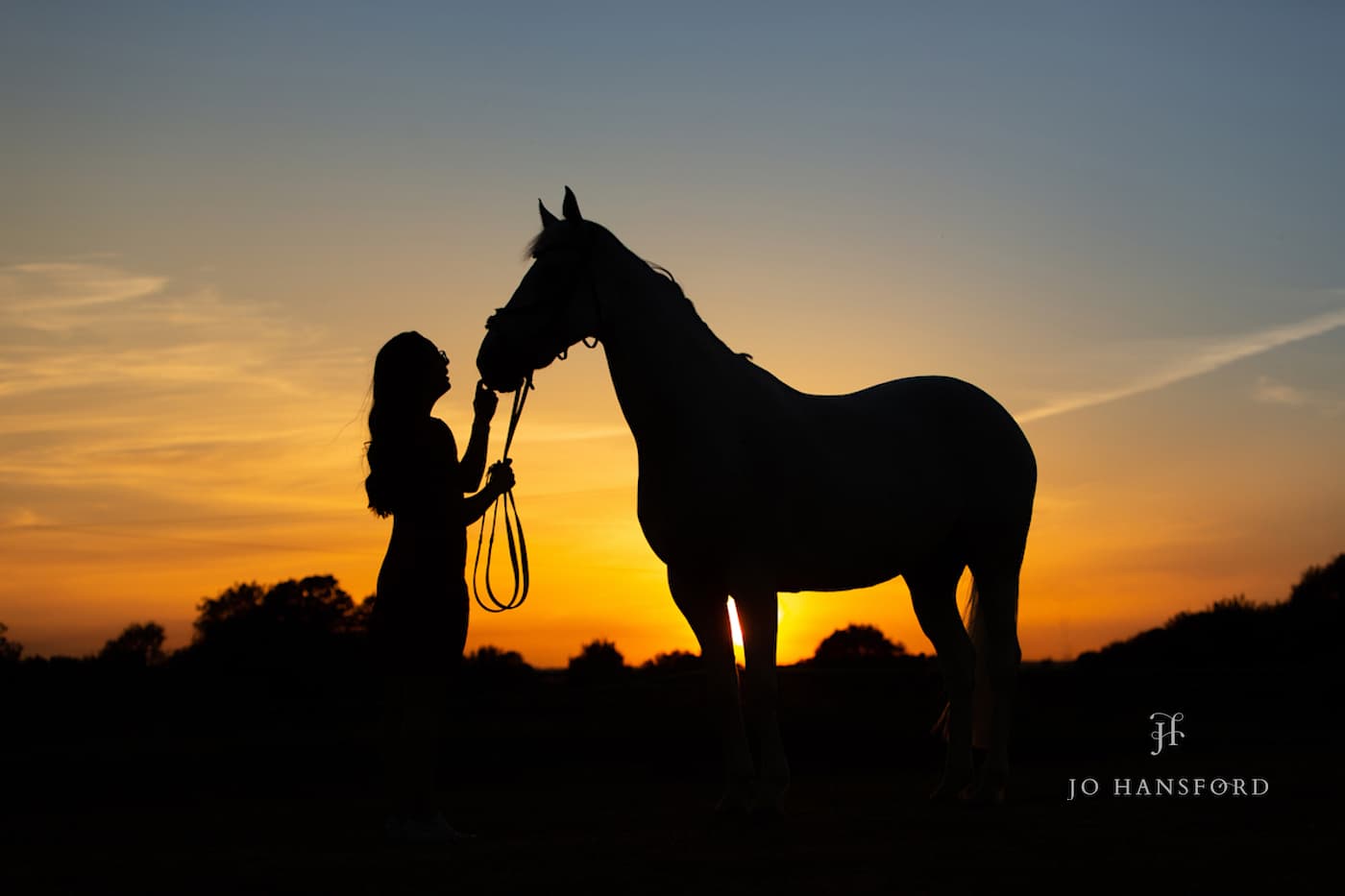 Horse photographer Cotswolds Jo Hansford
