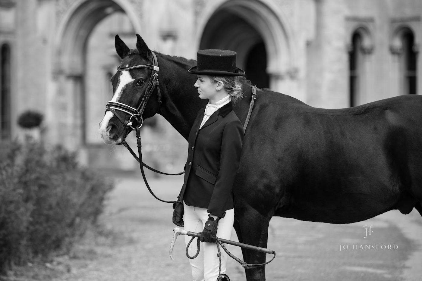 Horse photographer Wiltshire