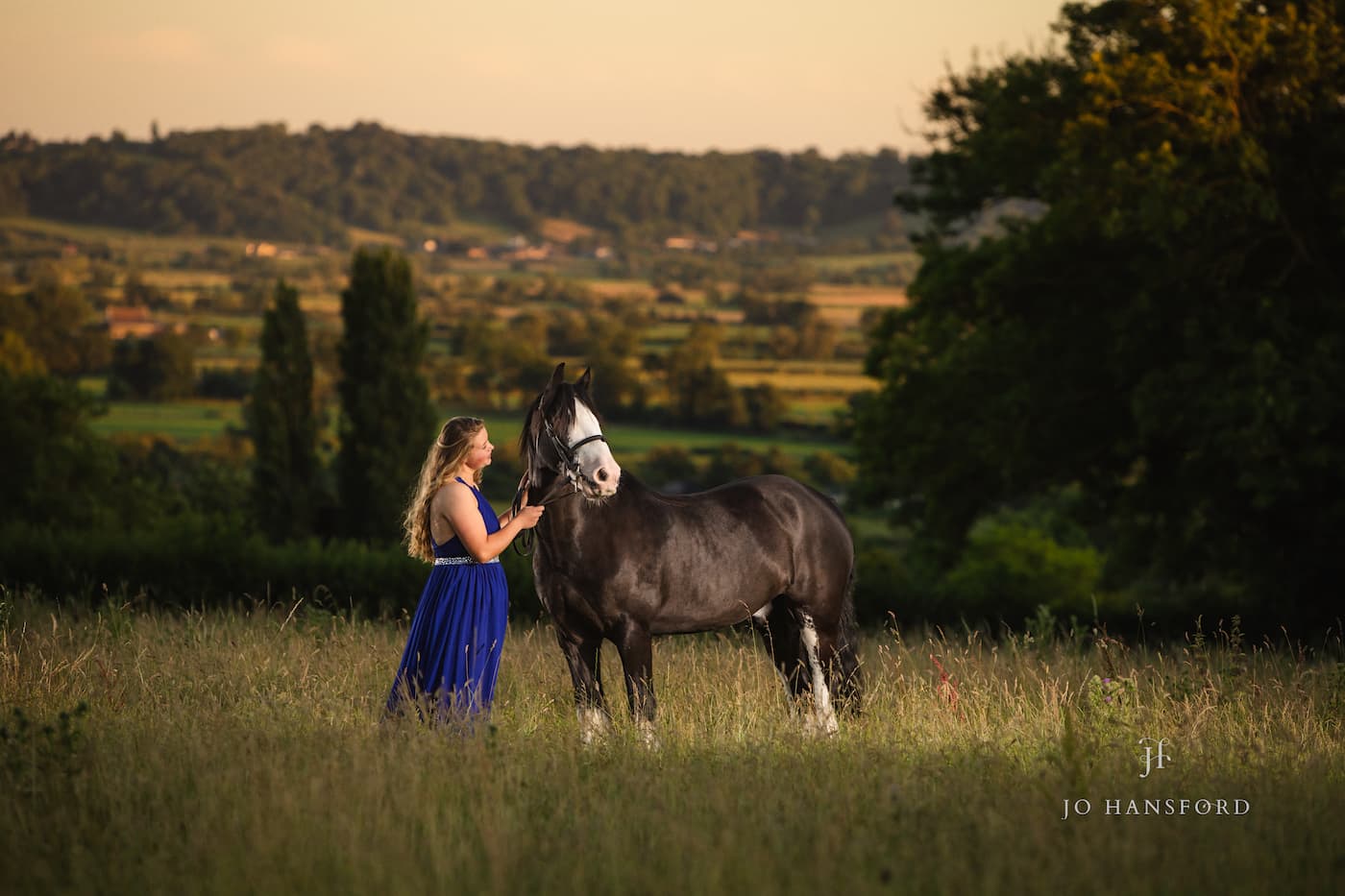 Somerset equine photography Jo Hansford