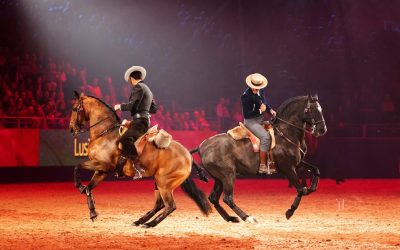 The Pride of Portugal display – the stunning Lusitanos at London International Horse Show, December 2023